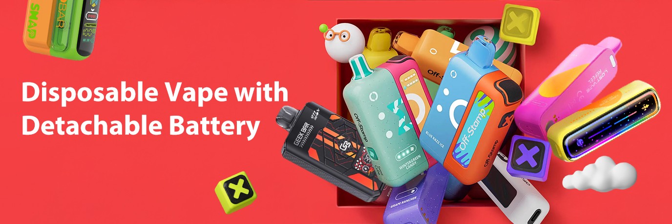 Disposable Vape with Detachable Battery